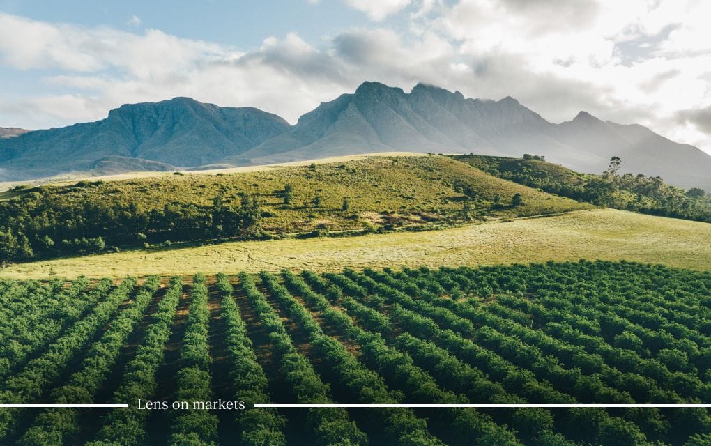 green field with scenic background